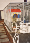 Katzen-Zimmer mit Balkon